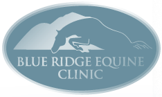 Blue Ridge Equine Clinic